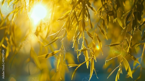 Close-up shot of willow tree leaves in spring