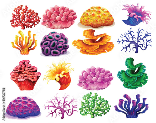 Vibrant vector illustrations of various coral types