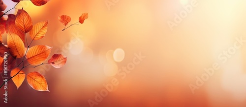 A warm colored autumn backg...