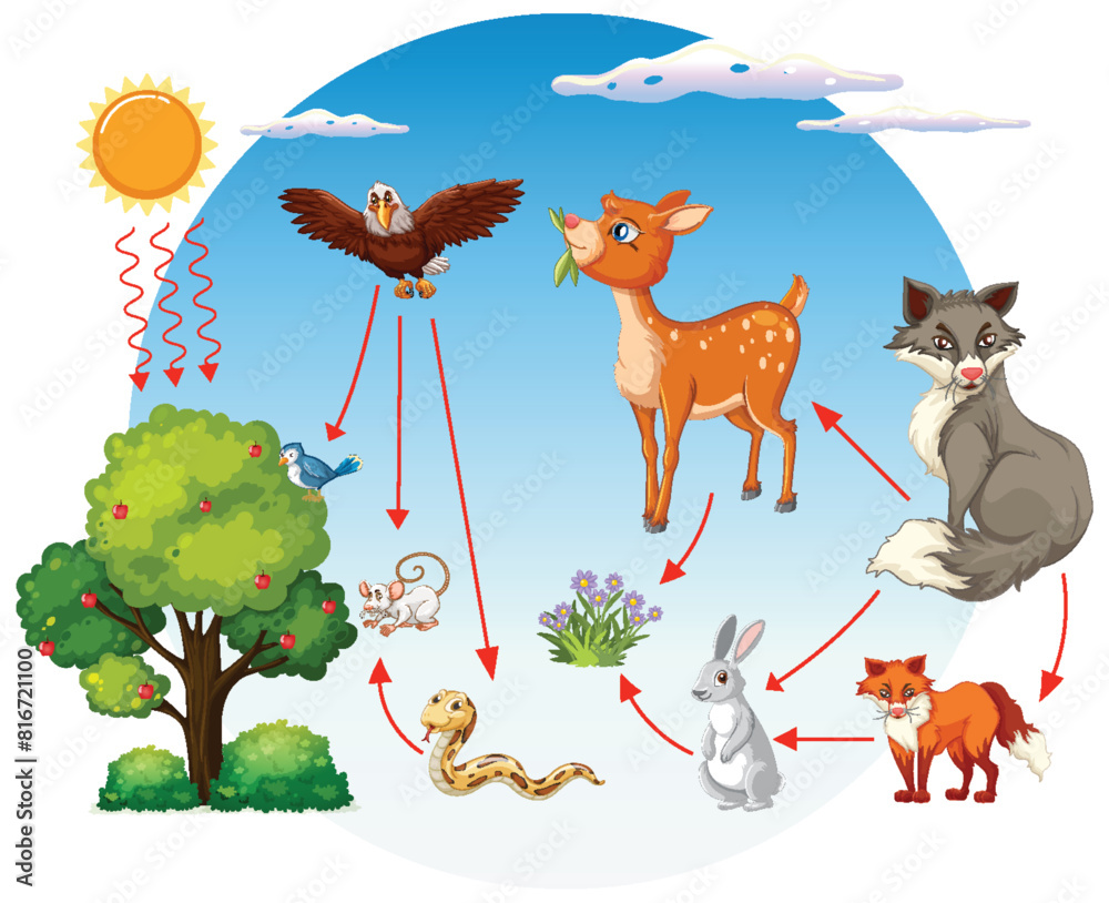 Obraz premium Depicts a forest food chain with various animals