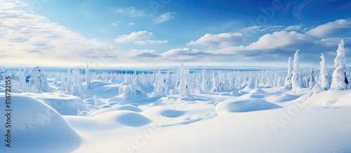 A scenic view of Lapland in Europe on a sunny day showcasing a breathtaking landscape covered in snow. with copy space image. Place for adding text or design
