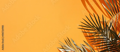 A summery concept featuring palm leaves and their shadow cast on a vibrant orange backdrop with plenty of copy space for an image