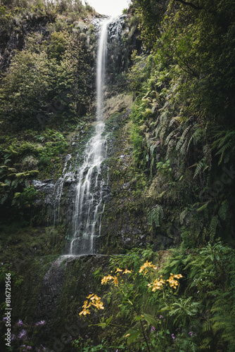 Scenic view of a waterfall cascading down the jungles in Levada in Madeira, Portugal © Wirestock