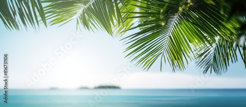 A serene tropical landscape with a blurred blue sky and sea featuring bokeh lights and the lush leaves of a coconut palm tree Capturing the essence of a tropical summer vacation Copy space image