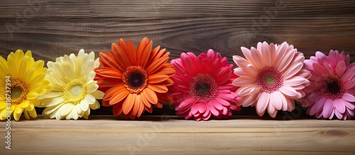 A copy space image featuring Gerbera flowers set against a wooden background
