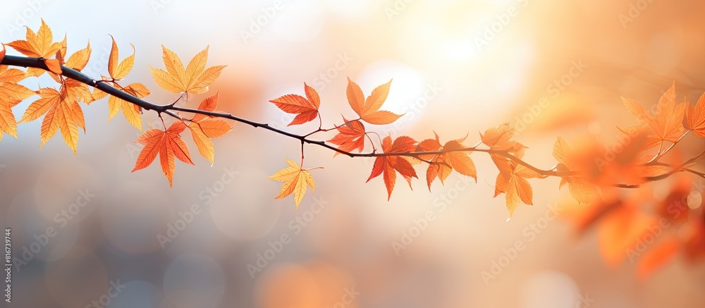 Sunny autumn background with beautiful orange leaves providing a captivating copy space image Sunny autumn background with beautiful orange leaves providing a captivating copy space image