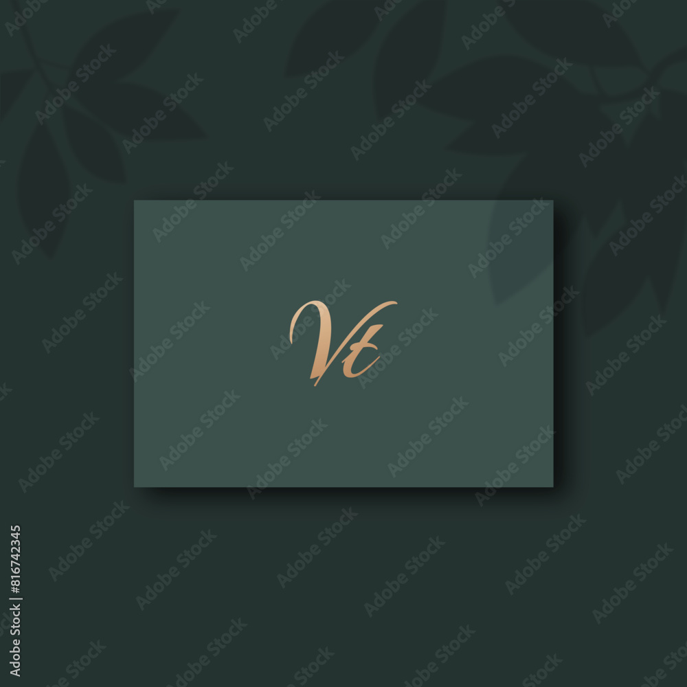 Vt logo design vector image
