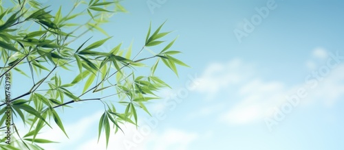 A serene copy space image s...