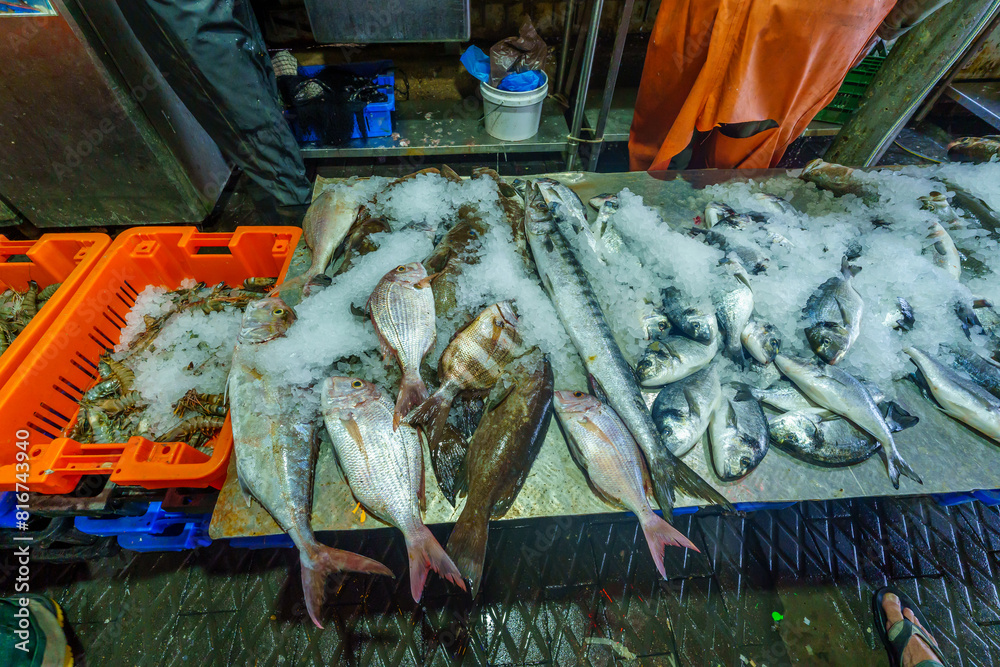 Fish on sale in the market, port of Jaffa