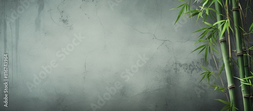 A copy space image showcasing a collection of bamboo branch frameworks placed against a textured grunge background