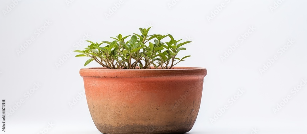 A vintage flowerpot is displayed on a white background leaving empty space for additional elements in the image