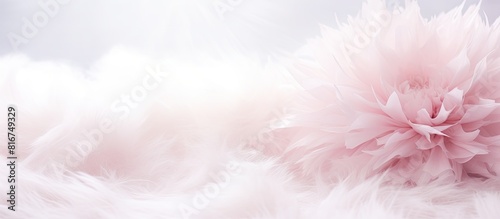 Vintage style copy space image showcasing a sweet pink carnation flower against a backdrop of white fur