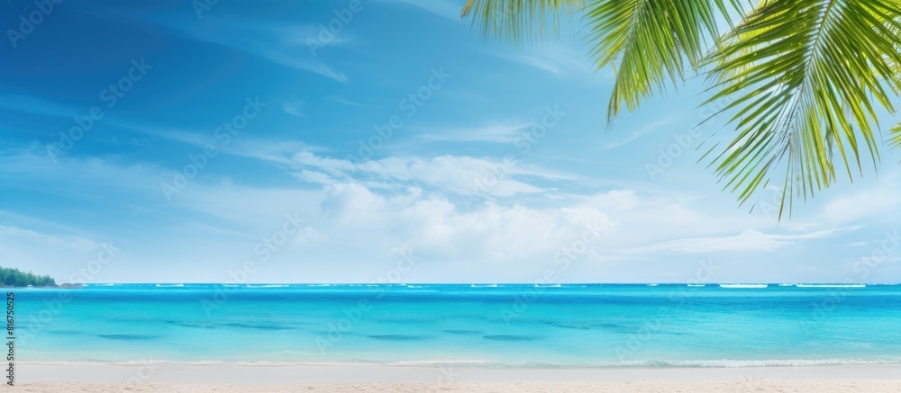 The tropical seascape provides a serene background with plenty of empty space for text or images. Copyspace image