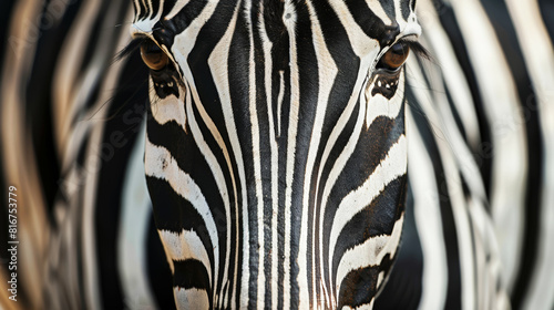 Animal zebra print. Closeup of zebra eye. Fur texture. Monochrome. Fashion background. Generative AI