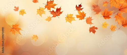 Flying autumn maple leaves isolated on warm autumn background Fall leaves for black friday sale and Halloween price drop or seasonal banner with autumn foliage. copy space available