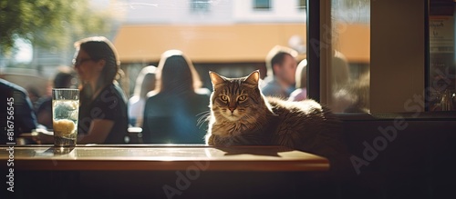 A cat is sitting on a couch near people eating in a cafe copy space image photo
