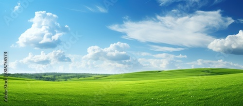 Green Field and blue sky. copy space available