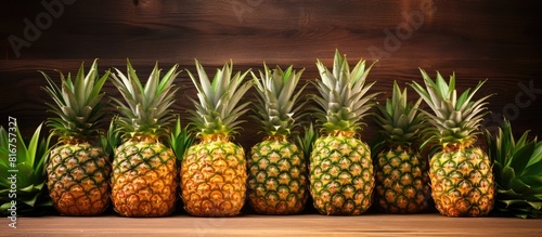 Ripe pineapples neatly arranged in raw with copy space over wooden and nature background