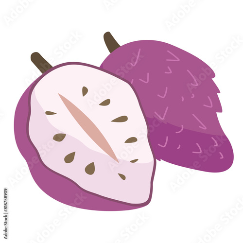 Purple custard apple isolated on white background, sugar apple vector illustration, buah nona ungu or srikaya patek langka photo