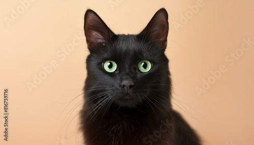  A sleek black cat depicted in a minimalist style with striking green eyes, © Jay Kat.