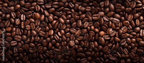 coffee beans background. copy space available