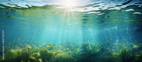 lake background water underwater abstract. copy space available