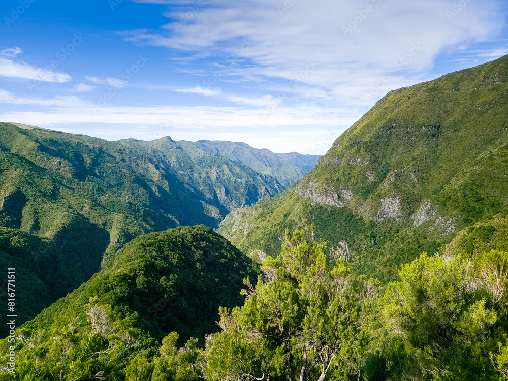 a view down into the valley between mountains and forests rumored: Madeira, Portugal a view down into the valley between mountains and forests rumored: Madeira, Portugal