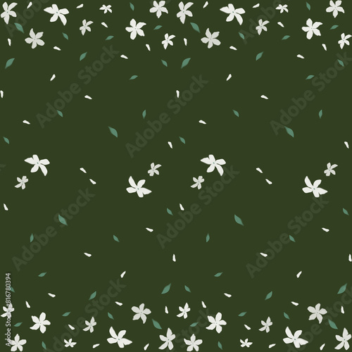 stars and stripes
