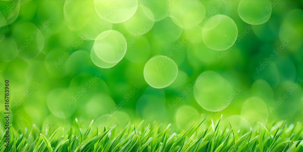 Obraz premium Blurred texture background with bokeh, out-of-focus blur, bright sunny summer green