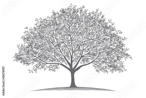 Wallpaper Mural A large tree with no leaves is depicted in a black and white photo. The tree is the main focus of the image, and it is a symbol of strength and resilience Torontodigital.ca