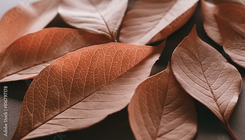 Veined Beauty: Textured Red Peach Leaves in Autumn