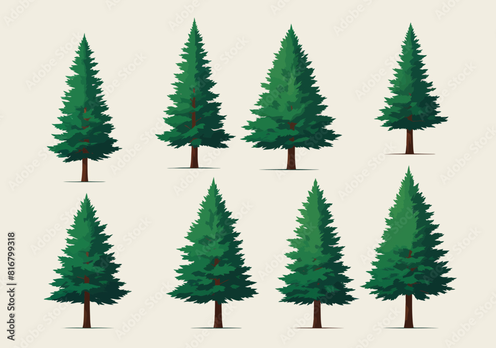 a bunch of different types of trees