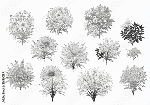 a bunch of different types of flowers on a white background #816800189