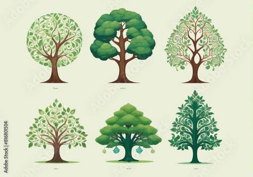 a group of trees with different types of leaves