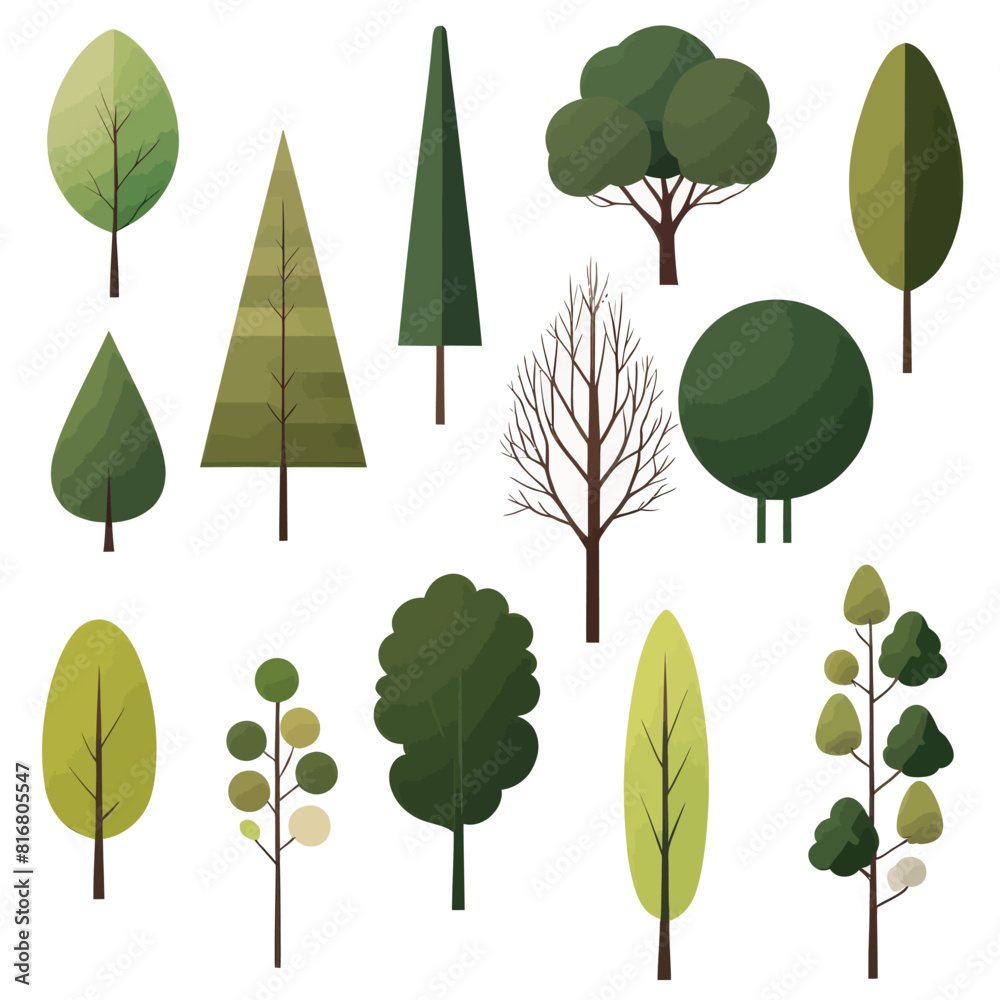 a variety of trees and shrubs on a white background