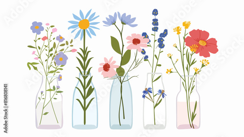 Summer flowers in glass vase. Spring floral plants