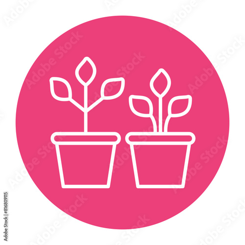 Indoor Plants vector icon. Can be used for Comfort iconset.