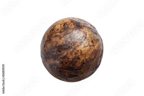 Brown Egg on White Background