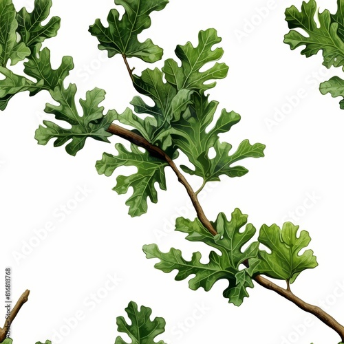 High-quality green oak branch with leaves isolated on transparent background  png illustration