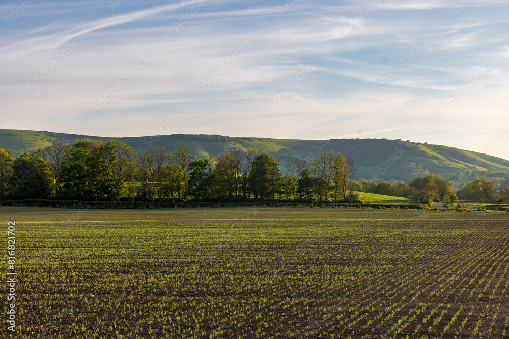 A rural Sussex landscape on a sunny spring evening, with a view of Kingston Ridge behind farmland