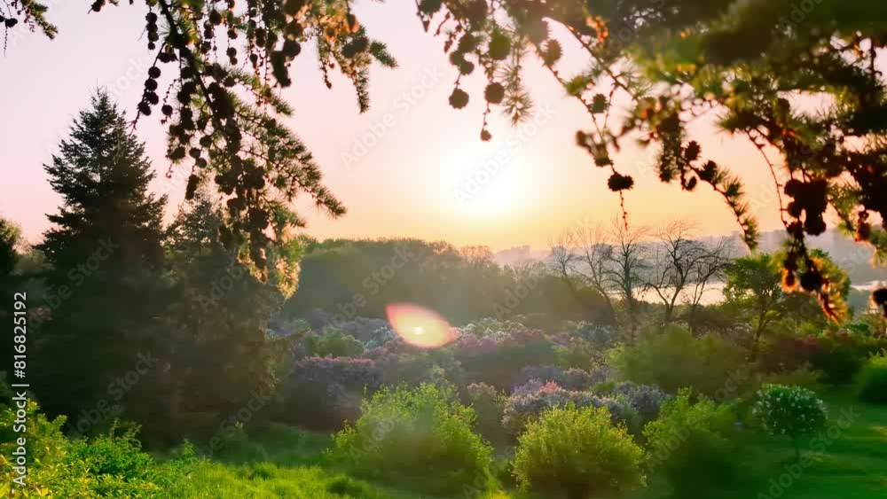Spring landscape in the park on a sunny day Spring landscape in the park on a sunny day