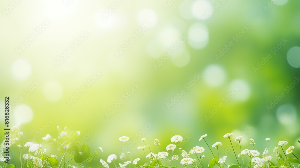 Spring green photo realastic background Spring green photo realastic background