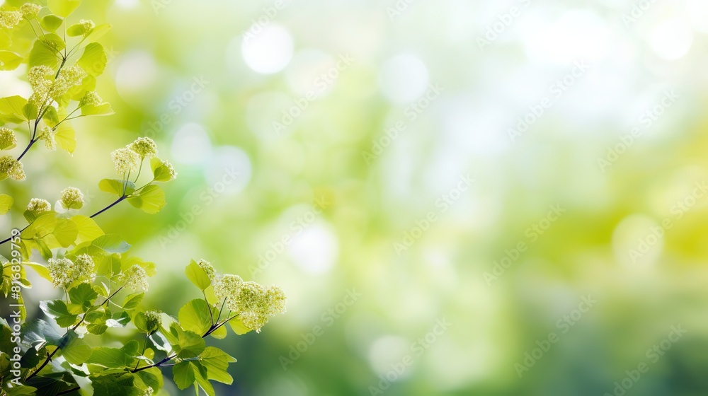 Spring green photo realastic background Spring green photo realastic background
