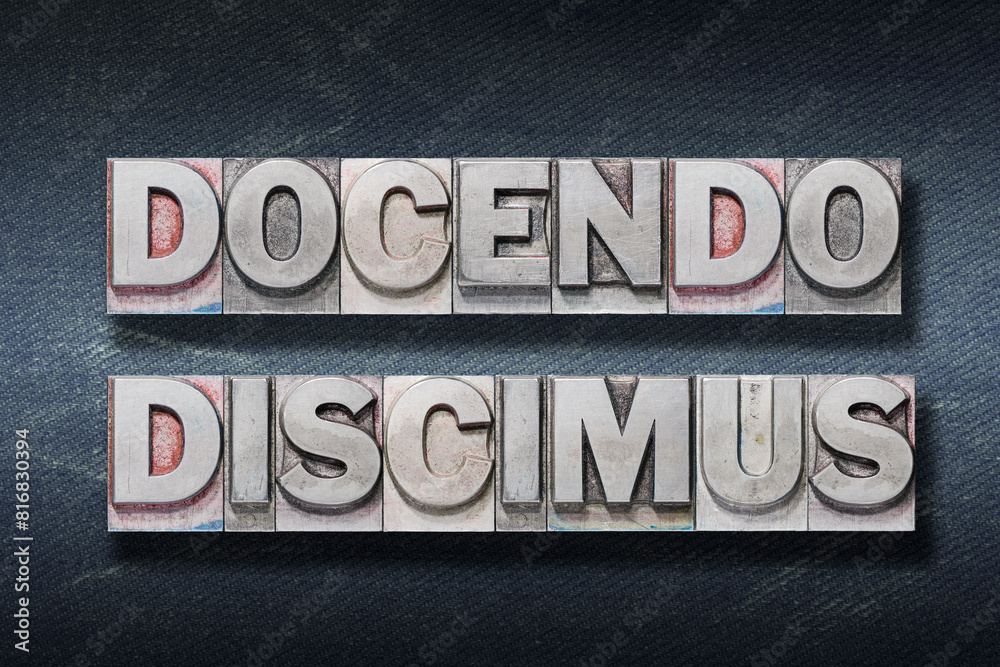 Naklejka premium Docendo discimus den