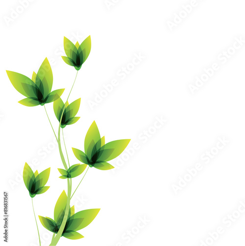 Nature floral plant background abstract
