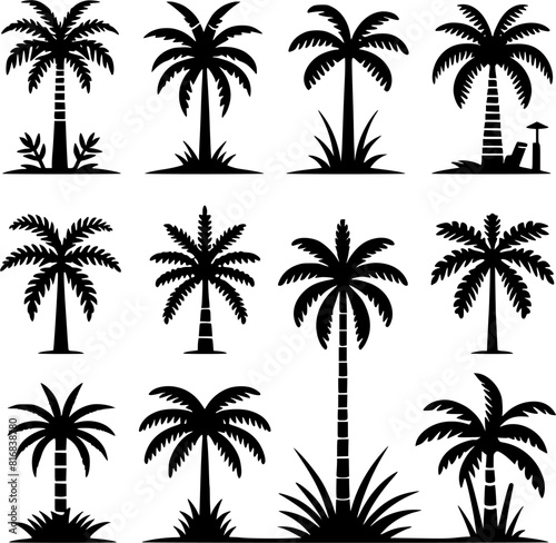 palm tree vector set silhouettes simple style 