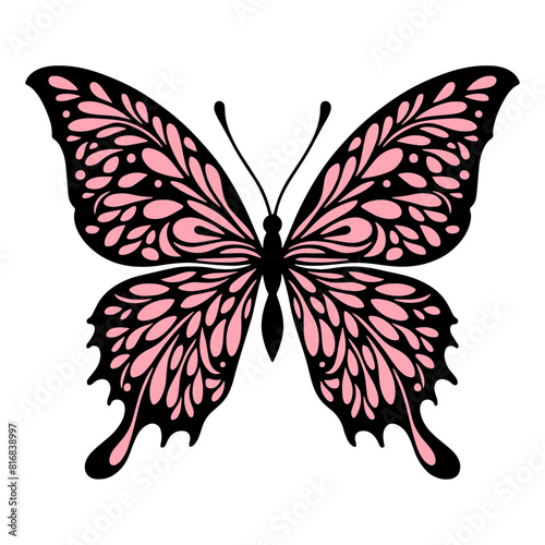 Black and Pink butterfly with intricate details, looks very beautiful