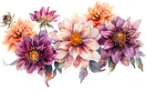 Pink Dahlias with Green Leaves in a Watercolor Illustration