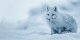 A beautiful white arctic fox sits on the icy tundra.