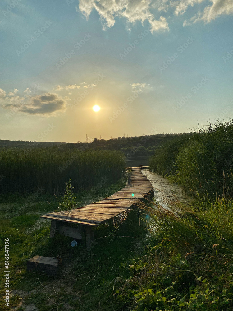 Wooden footbridge winding through lush green reeds at sunset. Calm and serene landscape capturing natural beauty and the peacefulness of nature Wooden footbridge winding through lush green reeds at sunset. Calm and serene landscape capturing natural beauty and the peacefulness of nature